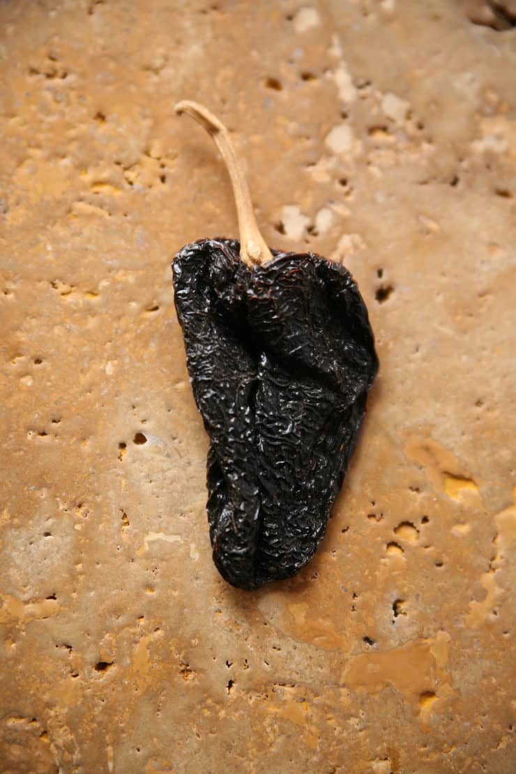 único chile mexicano escuro seco em uma superfície de pedra marrom