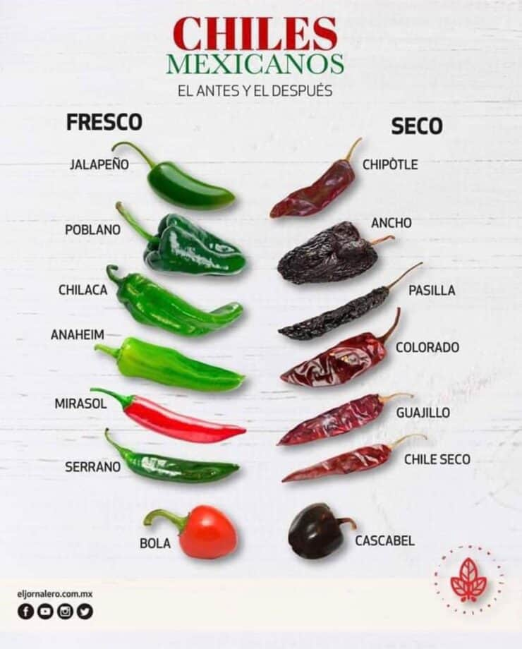infográfico ilustrando os tipos de chile frescos vs secos e seus nomes