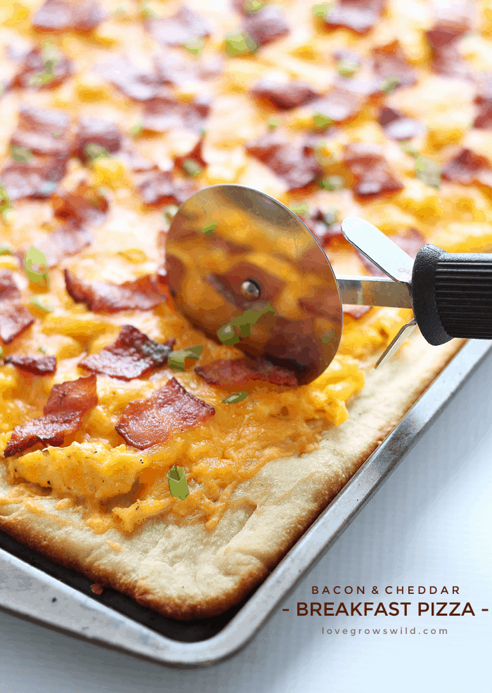 A pizza de pequeno-almoço perfeita coberta com ovos mexidos macios, bacon crocante e muito queijo cheddar derretido!
