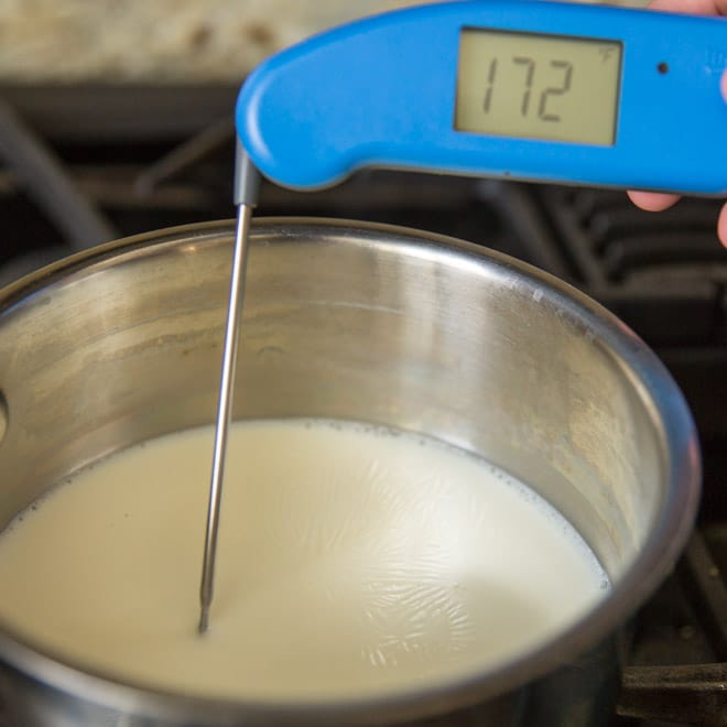 Se você já se perguntou o que significa escaldar o leite, é uma técnica experimentada e verdadeira que produz os pães, pães e bolos mais fofos que você já provou. Esta técnica antiquada ainda tem o seu lugar na cozinha, e é notavelmente fácil de fazer.