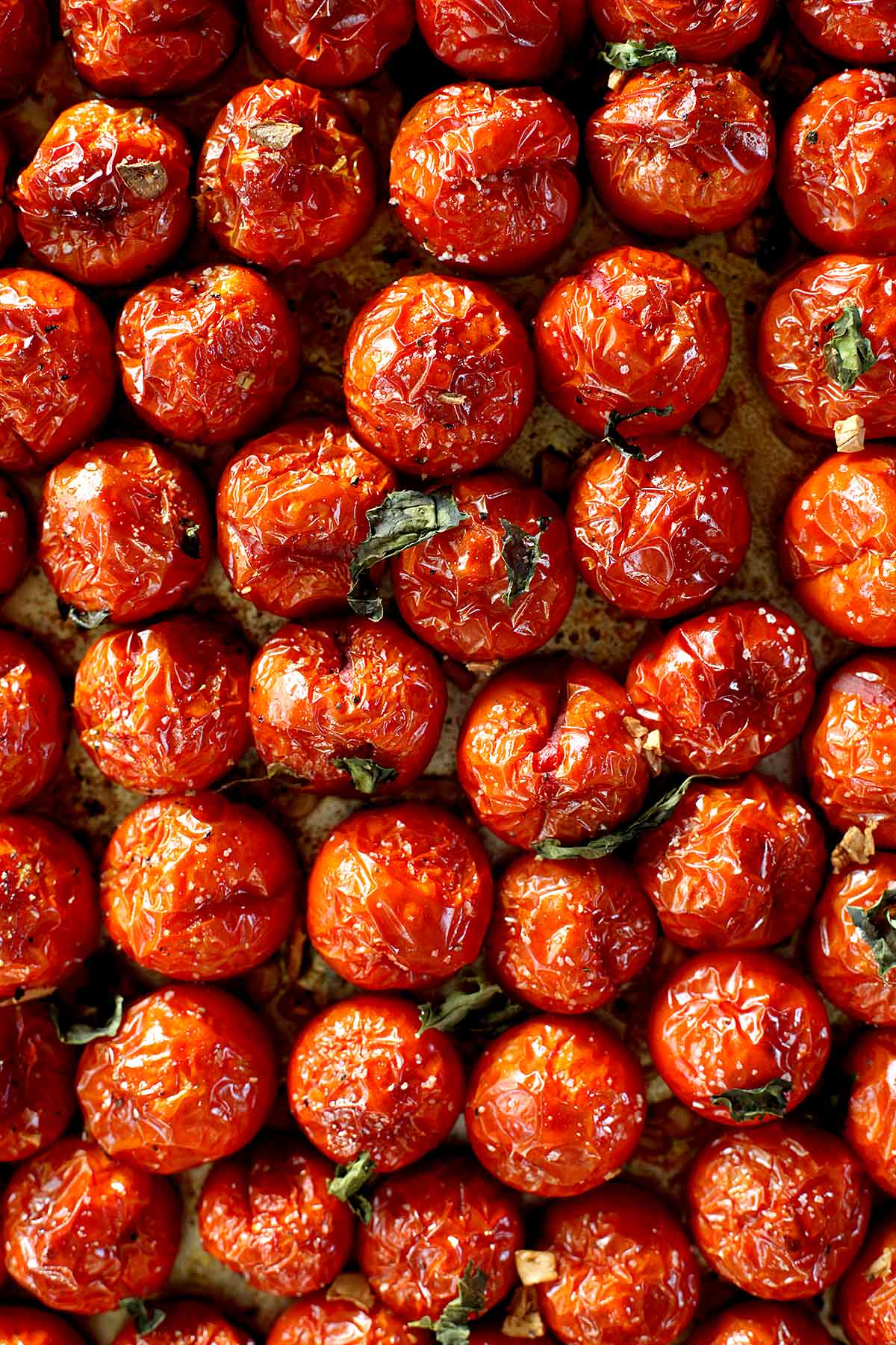 Tomate assado no forno | foodiecrush.com #forno #te #moradia #tomate #receita #recipiente #recipiente