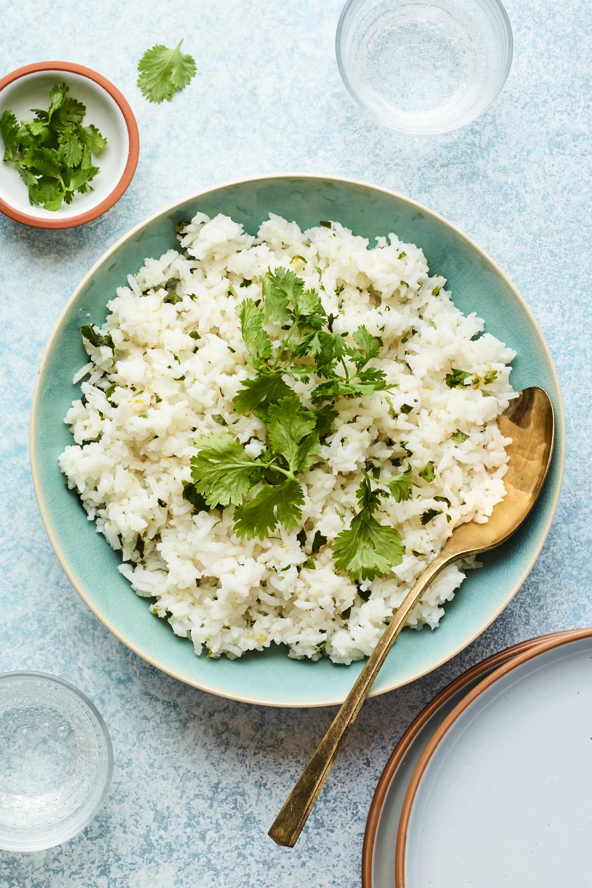 Um tiro de cabeça de uma tigela de arroz de coentro com uma colher para servir.