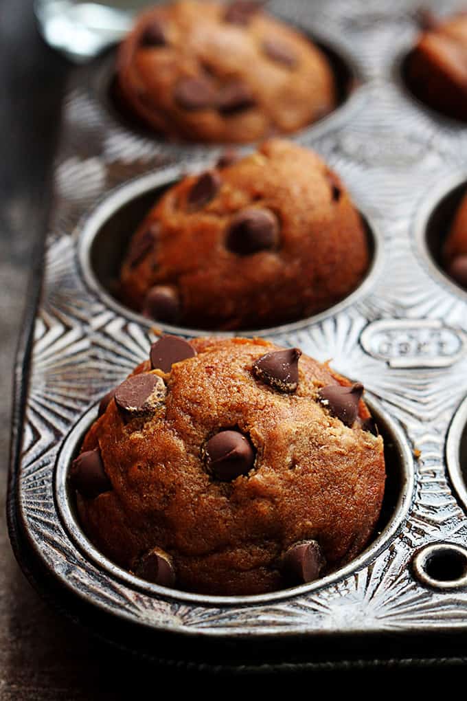 Muffins de Abóbora com Pedacinhos de Chocolate